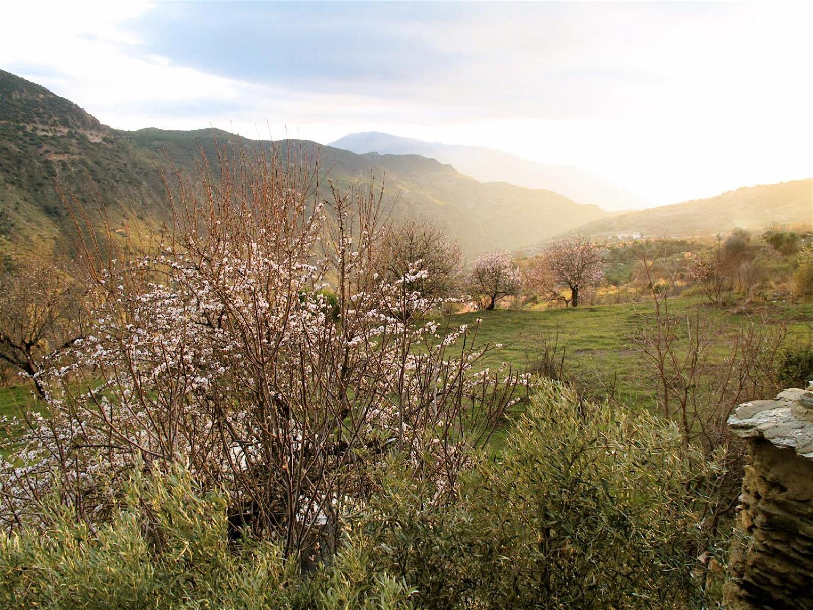 Rural House, Heated Pool & Steam Room, Casa Aloe. Atalbeitar Екстериор снимка
