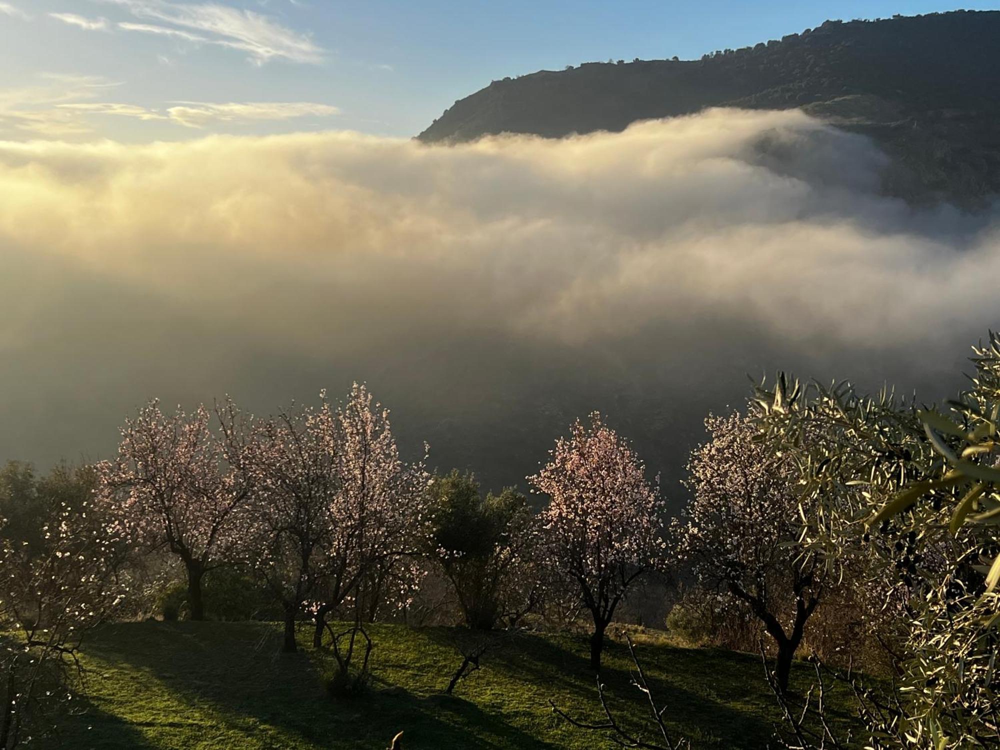 Rural House, Heated Pool & Steam Room, Casa Aloe. Atalbeitar Екстериор снимка