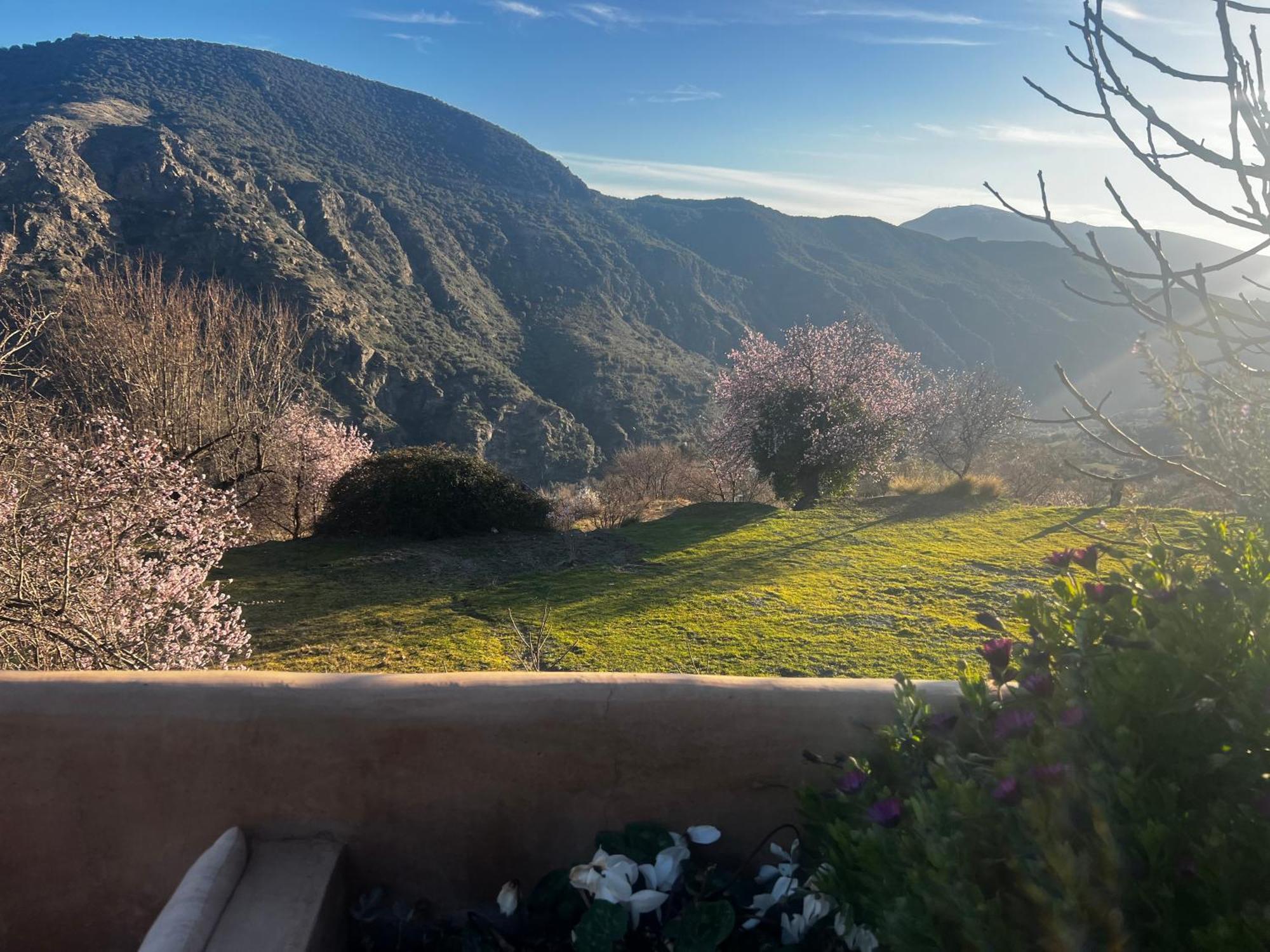 Rural House, Heated Pool & Steam Room, Casa Aloe. Atalbeitar Екстериор снимка